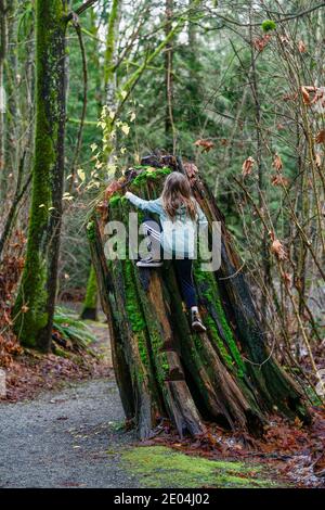 Junge klettert Baumstumpf im Wald Stockfoto