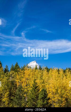 Tetons National Park in der Nähe von Taggart Lake Trailhead. Grand Teton, der über die Bäume auf dem Vordergrundkamm rast. Wyoming, USA. Stockfoto