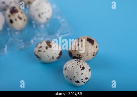 Behälter mit Wachteleiern auf blauem Hintergrund Stockfoto