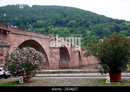 Karl-Theodor-Brücke, besser bekannt als Alte Brücke, Heidelberg, Baden-Württemberg, Deutschland Stockfoto