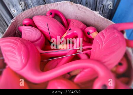 Touristen, rosa Rasen Flamingos in einer Kunstgalerie in Islamorada in den Florida Keys. Stockfoto