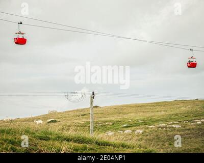 Rote Seilbahnen und Ziegen auf einem Hügel im Great Orme Country Park oberhalb von Llandudno, North Wales, Großbritannien Stockfoto