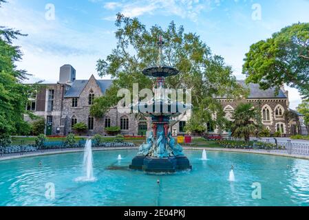 Pfauenbrunnen in Christchurch, Neuseeland Stockfoto