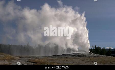 Ein Nachmittagsfoto von alten Gläubigen, die im yellowstone-Nationalpark in wyoming, usa, ausbrechen Stockfoto