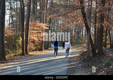 Das Sonnenlicht strömt durch die Bäume, während Freunde am späten Nachmittag im Shelley Lake Greenway in Raleigh North Carolina spazieren gehen. Stockfoto