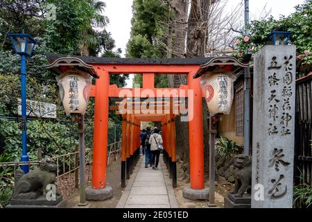 Tokio, Japan - 21. März 2019: Hanazono Inari-jinja-Schrein im Ueno-Park in Tokio, Japan. Stockfoto