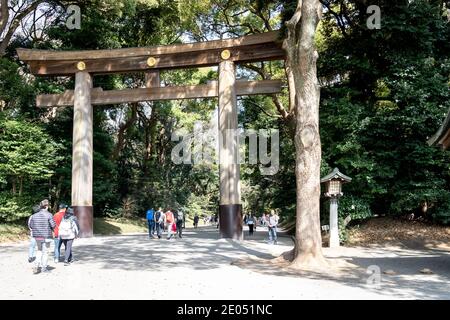 Tokio, Japan - 22. März 2019: Meiji Jingu torii Eingang in Tokio, Japan. Stockfoto