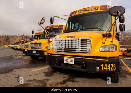Bethesda, MD, USA 12-21-2020: Nahaufnahme selektiver Fokus Frontalansicht einer Schulbusflotte auf einem Parkplatz. Diese sind gelb Thomas SAF-T-Liner C2 veh Stockfoto