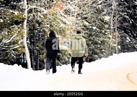 Ein Mann und eine Frau, die im frisch gefallenen Schnee auf einer von Bäumen gesäumten Straße am Boulevard Lake spazieren gehen. Stockfoto