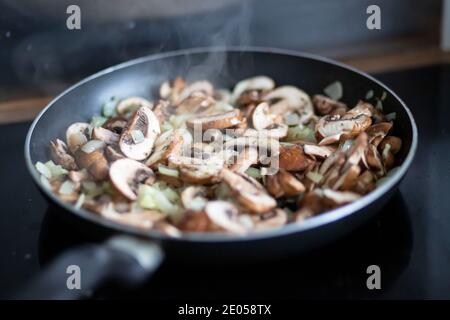 Pilze und Zwiebeln in einer Pfanne Stockfoto