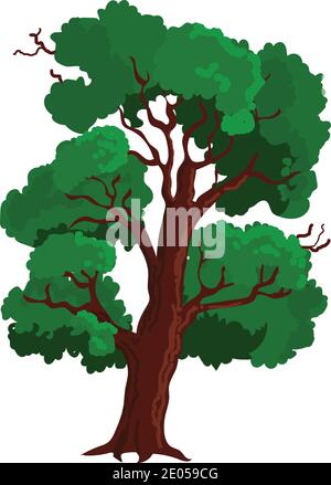 Realistischer Vektorbaum mit Blättern. Pflanze mit grünem Laub. Wald Natur Eco Stock Vektor