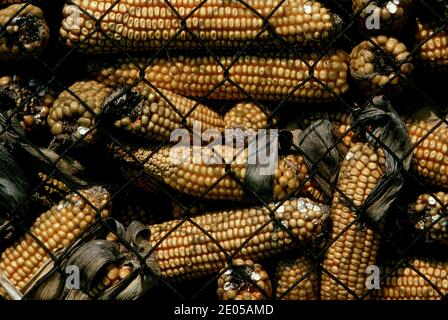 Frankreich/Bresse/ Stockfoto