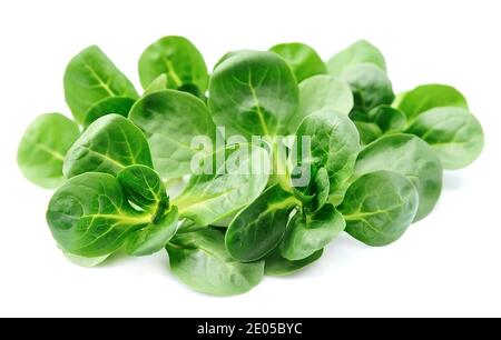 Maissalat, Lammsalat isoliert auf Weiß Stockfoto