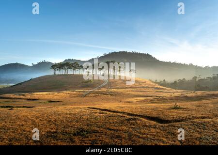 Masara Hamlet, Ta Nang Commune, Duc Trong District, Lam Dong Province, Vietnam - 27. Dezember 2020: Touristen campen auf einer Wiese im Dorf Masara. Dies Stockfoto