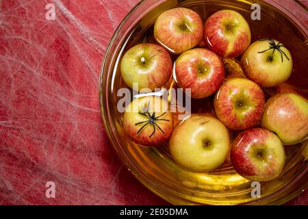 Ein Halloween Apfel Bobbing Spiel auf einem gespenstischen Spinnennetz geschichteten roten halloween Dekoration Tisch, zeigt die Äpfel mit Spinnen darauf Stockfoto
