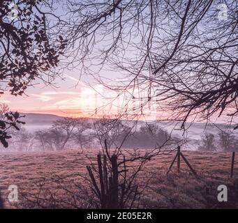 Ein gefrorenes Nebelfeld bei Sonnenaufgang. Die Schichten Nebel über dem unteren Boden über einem klassischen britischen Landschaft Blick bei Sonnenaufgang im Winter. Stockfoto