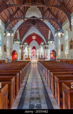 AUCKLAND, NEUSEELAND, 20. FEBRUAR 2020: Innenraum der Kathedrale St. Patrick und St. Joseph in Auckland, Neuseeland Stockfoto