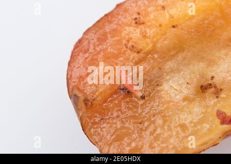 Pflaumenmottenlarven (Grapholita funebrana) Stockfoto