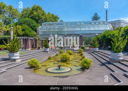 AUCKLAND, NEUSEELAND, 20. FEBRUAR 2020: Auckland Domain Wintergarden in Neuseeland Stockfoto