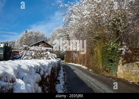 Blick auf eine Hecke im weißen Schnee an einem bewölkten Wintertag. Stockfoto