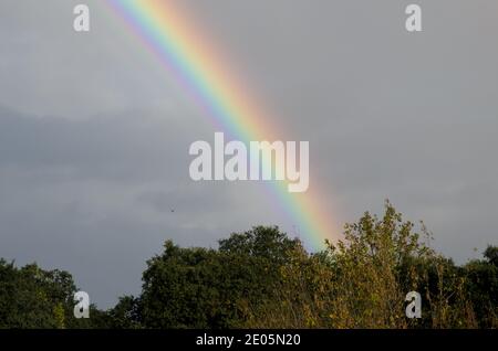 Regenbogen über einem Wald in Malpartida de Plasencia. Caceres. Extremadura. Spanien. Stockfoto