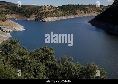 Torrejon-Tajo Stausee im Monfrague National Park. Caceres. Extremadura. Spanien. Stockfoto