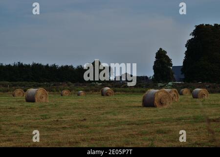 Haybales in einem Feld in England Stockfoto
