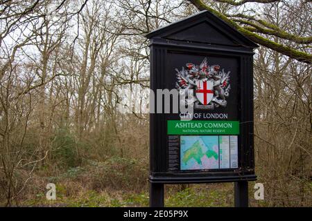 Ashtead Gemeinsamer Eingang, Ashtead, Surrey, UK, Herbst Winter Dezember 2020 Stockfoto