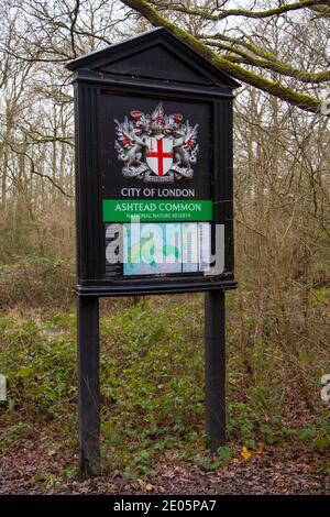 Ashtead Gemeinsamer Eingang, Ashtead, Surrey, UK, Herbst Winter Dezember 2020 Stockfoto