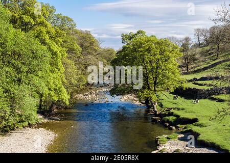 Blick entlang River Wharfe im Frühjahr/Sommer. Kettlewell, Obere Wharfedale, Yorkshire Dales National Park, North Yorkshire, England, Großbritannien, Großbritannien Stockfoto