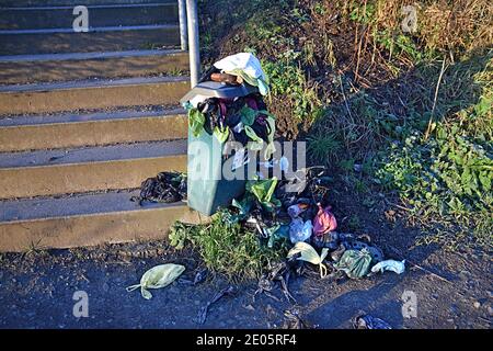 Öffentliche Mülltonnen überfüllt mit Hundebeuteln auf dem Fife Coastal Path in der Nähe von Kirkcaldy, Fife, Schottland, Großbritannien. Stockfoto