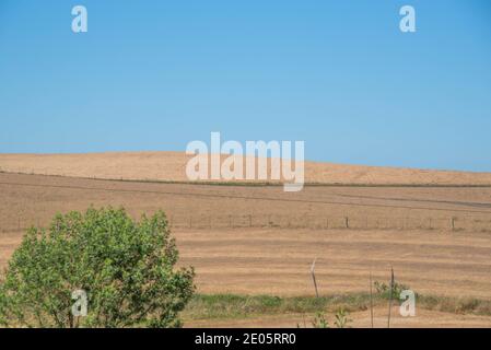 Ländliche Landschaft. Felder des Sojaanbaus. No-Till-Technik im Süden Brasiliens. Getreideanbaufläche. Aussaat. Pampa Biom. Feldvorbereitung für die Kultivierung Stockfoto