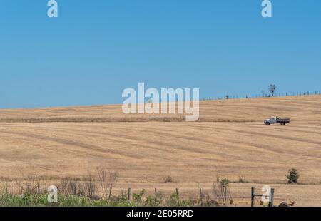 Ländliche Landschaft. Felder des Sojaanbaus. No-Till-Technik im Süden Brasiliens. Getreideanbaufläche. Aussaat. Pampa Biom. Feldvorbereitung für die Kultivierung Stockfoto
