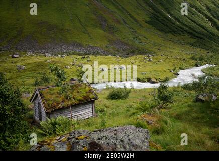 Einsames Moos bedecktes Holzhaus in idyllischer grüner Landschaft Stockfoto