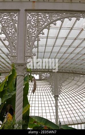 GLASGOW BOTANIC GARDENS, KIBBLE PALACE Stockfoto