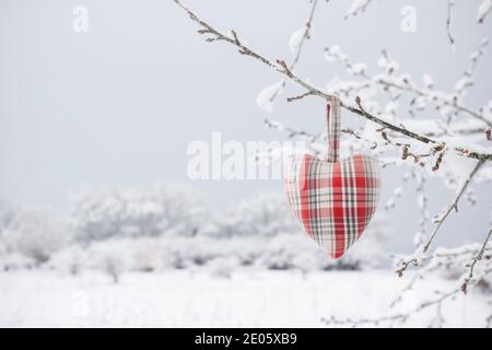 Herz in Stoff hängen von einem Baum Ast mit Schnee. Verschwommener Hintergrund mit Copyspace für Ihren Text. Konzept der Liebe. Frankreich. Stockfoto