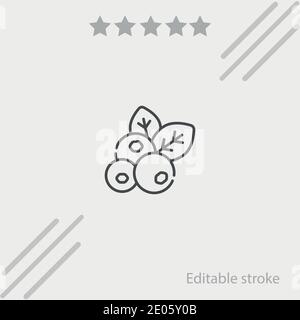 Blueberry Vektor-Symbol Moderne einfache Vektor-Illustration Stock Vektor
