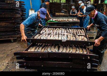 Yasuhisa Serizawa ist katsuobushi Herstellen, bei Nishiizu-Cho, Shizuoka, Japan Stockfoto