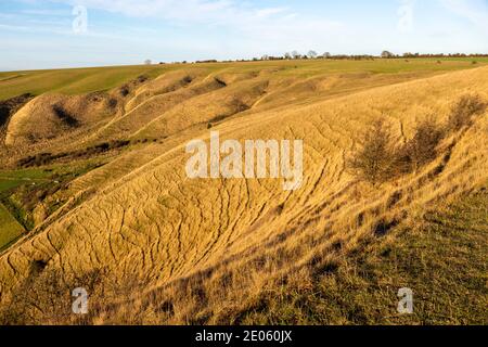 Bergrücken und trockene Täler Kreide Scarp Hang auf Roundway Down, Wiltshire, England, Großbritannien Stockfoto