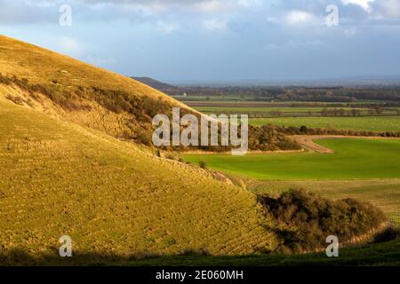 Chalk Scarp Slope knapp Hill, Vale of Pewsey, Alton Priors, Wiltshire, England, Großbritannien Stockfoto