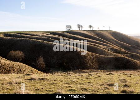 Bergrücken und trockene Täler Kreide Scarp Hang Blick auf Oliver's Castle Hill Fort, Roundway Down, Wiltshire, England, Großbritannien Stockfoto