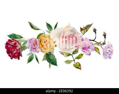 Aquarell-Rosen horizontale Blütengirlande aus rosa, roten, violetten und gelben Blüten und Pflanzen Blätter auf weißem glockigem Boden Stockfoto