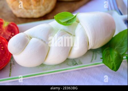 Frische, weiche italienische Käsezopf-Mozzarella-Büffel aus italienischer Büffelmilch nach Pasta-Filata-Methode in Amaseno, Latium, Italien Stockfoto