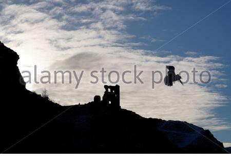 Edinburgh, Schottland, Großbritannien. Dezember 2020. Saint Anthony's Chapel Ruinen Silhouetten gegen eine niedrige Wintersonne in einem Snowy Holyrood Park. Kredit: Craig Brown/Alamy Live Nachrichten Stockfoto