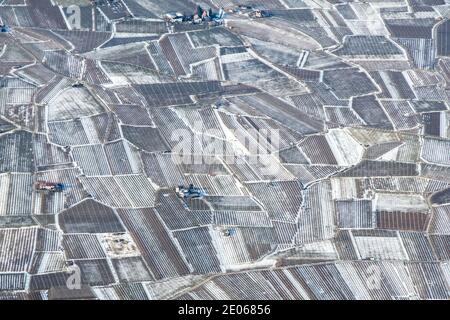 Geometrische Apfelfelder im Etschtal mit Schnee im Winter, Südtirol, Südtirol, Südtirol, Italien Stockfoto