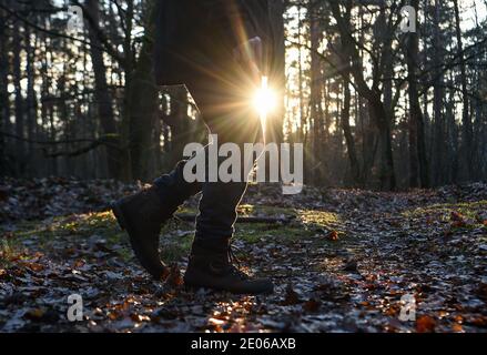 Berlin, Deutschland. Dezember 2020. Ein Mann geht im Abendlicht der untergehenden Sonne durch den Wald. Quelle: Kira Hofmann/dpa-Zentralbild/dpa/Alamy Live News Stockfoto