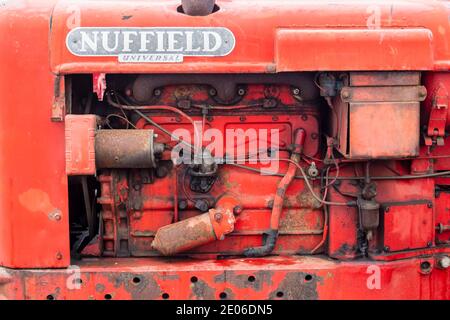 Antike Nuffield Universal Traktor bei einem Oldtimer Traktor Rallye in Nordostengland Stockfoto