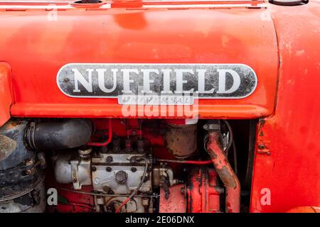 Antike Nuffield Universal Traktor bei einem Oldtimer Traktor Rallye in Nordostengland Stockfoto