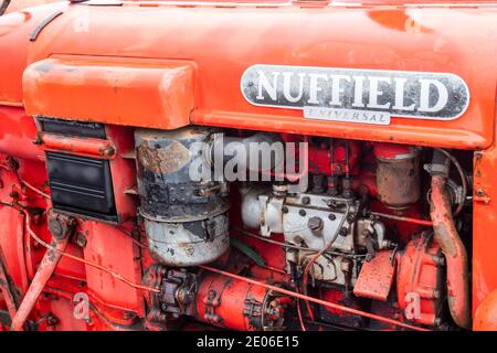 Antike Nuffield Universal Traktor bei einem Oldtimer Traktor Rallye in Nordostengland Stockfoto