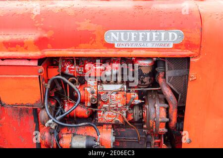 Antike Nuffield Universal Traktor bei einem Oldtimer Traktor Rallye in Nordostengland Stockfoto